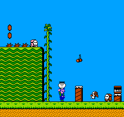 Super Mario Bros. 2 gameplay screenshot